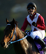 ジャパンカップ優勝馬アドマイヤムーン