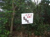 お１
