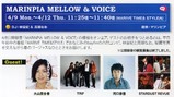 bayfm MARINPIA MELLOW & VOICEパンフ