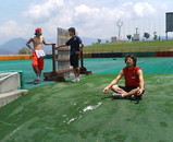 20050717112820.jpg