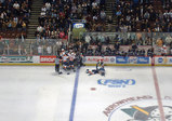 ducks4