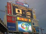 wbc224