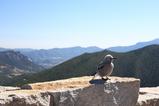 IMG_0029