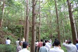 山