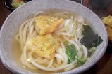 かき揚げうどん