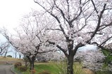 磯山公園