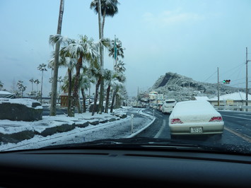 フェニックスに雪