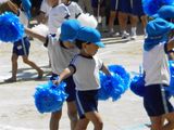 ぽんぽん