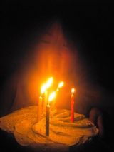 みぃちゃん１０歳のお誕生日