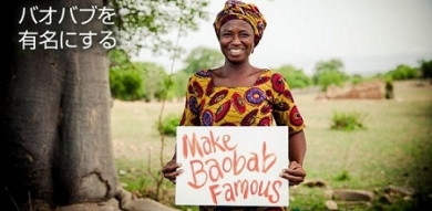 バオバブを有名にする!Make Baobab Famous