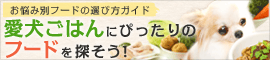 愛犬の年齢や肥満の悩みに！ペットフードの通販はペット用品通販ペピイ！