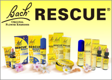 レスキューについて