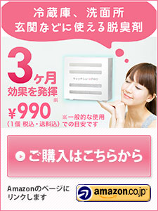 『キャッチシューPRO』ご購入用サイト