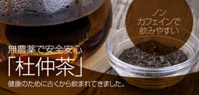 杜仲茶 とちゅう茶 ノンカフェイン 無農薬