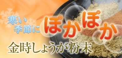 金時ショウガ ショウガ しょうが