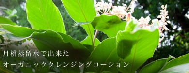 satamisaki organics/佐多岬オーガニクス