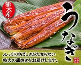 わくわく倶楽部　熊本産うなぎ蒲焼き