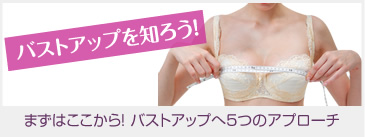 バストアップ補正下着”エクサブラ”公式通販サイト (PC)