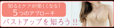 バストアップ補正下着”エクサブラ”公式通販サイト （スマホ）