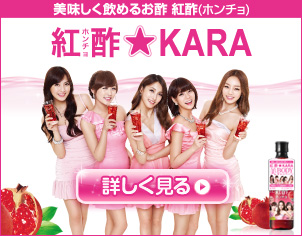 紅酢（ホンチョ）★KARA紹介ページ