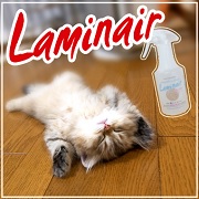 フローリング掃除には抗菌コート洗剤・ラミネア!