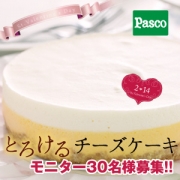 「バレンタインのプレゼントに☆とろけるチーズケーキ（ホール）モニター３０名様募集！」の画像、敷島製パン株式会社のモニター・サンプル企画