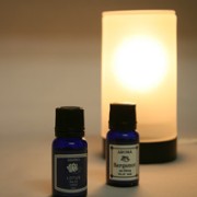 【アロマレガーロ】アロマエッセンス ブルーラベル 22種から香を選べる4本セット