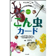 くもん出版のオリジナル・カード教具『自然図鑑　こん虫カード』