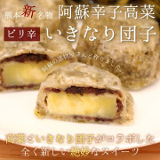 熊本名物の融合!?阿蘇辛子高菜いきなり団子