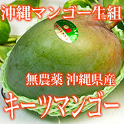 「【3名様限定】沖縄マンゴー生産研究会 幻の大玉無農薬マンゴーモニタープレゼント」の画像、メディアフロント企業組合のモニター・サンプル企画