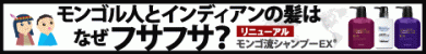 スカルプケアシャンプー/モンゴ流シャンプーEX