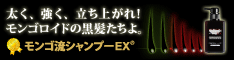 スカルプケアシャンプー／モンゴ流シャンプーEX