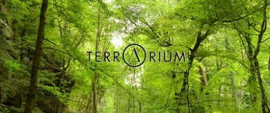 テラリウム表参道