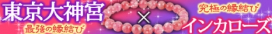 東京大神宮×インカローズのプレミアムストーン