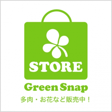 GreenSnapSTORE