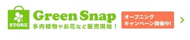 GreenSnapSTORE