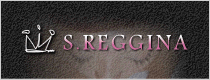 【まつげエクステS.REGGINA】軽い・柔らかい!ミンクのつけまつげ