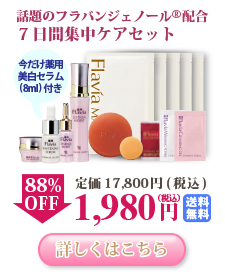【送料無料】『初回限定87%OFF』 なんと1980円 まずは実感!