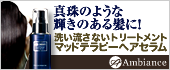 洗い流さないトリートメント「マッドテラピーヘアセラム」