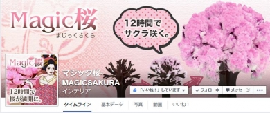 Magic桜Facebookページ