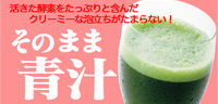 素材そのまま!栄養そのまま!「そのまま青汁」