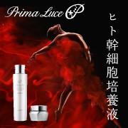 primaluce(プリマルーチェ)