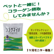 純粋コラーゲン100%粉末☆コラゲネイド