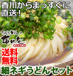 【亀城庵】讃岐細ネギうどんセット(6人前)