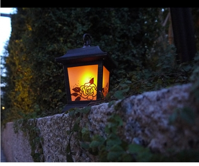 ご購入はこちらから青山ガーデン「ロイヤルローズ」