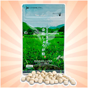 サンワ食研株式会社【金時しょうが粒】