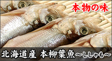 本物の味 北海道産 本ししゃも