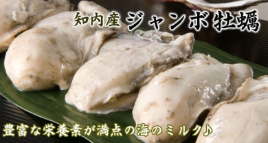 知内産 大粒カキむき身