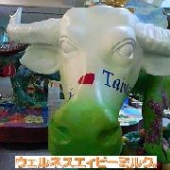 免疫・リウマチ・アトピー・風邪・膝・腰に ウェルネスエィビーミルク