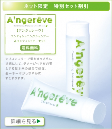 美容院専売ノンシリコンシャンプー&ノンシリコンコンディショナー アンジェレーヴ